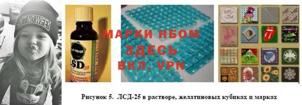 гидра Снежногорск