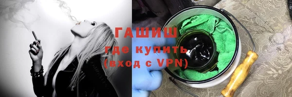 гидра Снежногорск