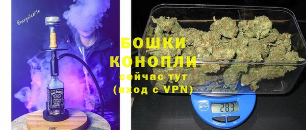ГАЛЛЮЦИНОГЕННЫЕ ГРИБЫ Армянск