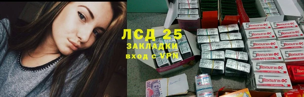 ГАЛЛЮЦИНОГЕННЫЕ ГРИБЫ Армянск
