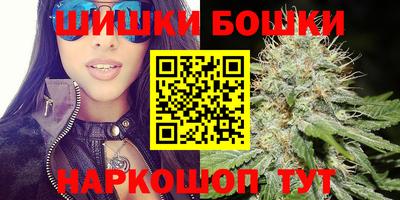 Альфа ПВП Бийск