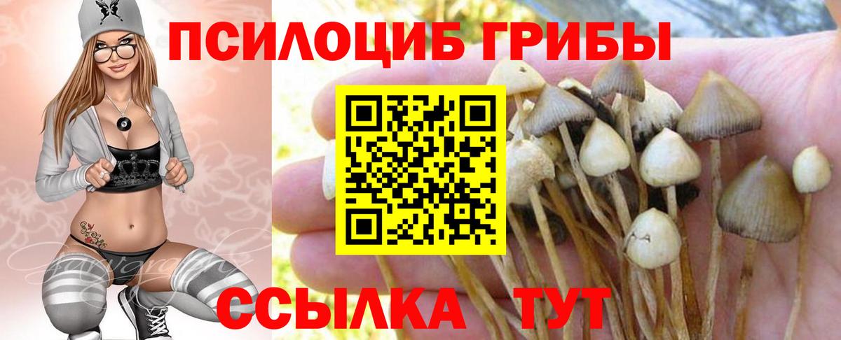 Псилоцибиновые грибы MAGIC MUSHROOMS  где купить   Дзержинск  Вход с VPN 